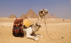 50 things to do before you die