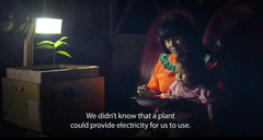 UTEC And Agency FCB Create Plant-Powered Lamps For Peru Villages With No Electricity
