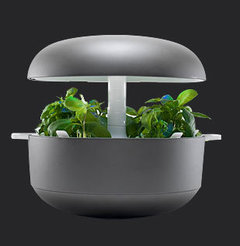 Unique indoor hydroponic garden | Plantui