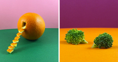 Designer Turns Food Into Adorable Art