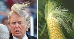15+ Things That Look Just Like Donald Trump