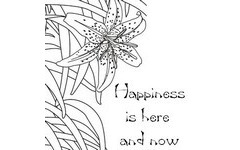 Adult Coloring Pages