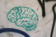 7 Hobbies Science Says Will Make You Smarter