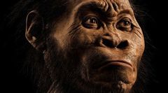 Homo naledi, the newly discovered species of ancient human, explained