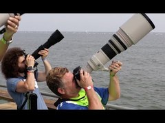 Sigma 150-600 Contemporary "Real World Review": The BEST Wildlife / Sports lens for under $1,000? - YouTube