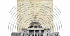 Toward a more perfect Constitution: Danielle Allen – Harvard Gazette