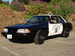 Ford Mustang SSP - Wikipedia