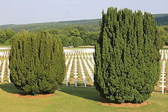 Ossuarium van Douaumont - Wikipedia