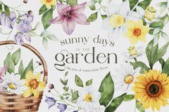 Spring Florals Watercolour Daffodils PNG Graphic by Busy May Studio · Creative Fabrica