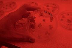 Crispr gave humans the power to remake ourselves. What will we do with it? - The Globe and Mail